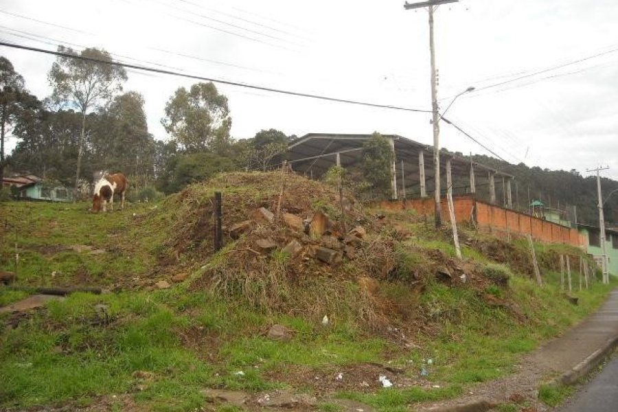 Terreno com 4000m², no bairro São Cristóvão em Caxias do Sul para Alugar