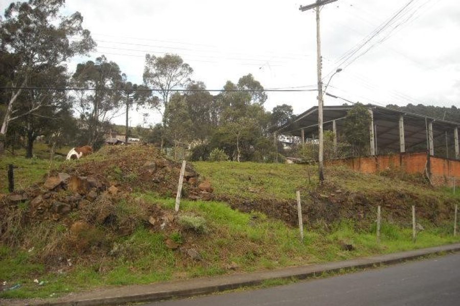 Terreno com 4000m², no bairro São Cristóvão em Caxias do Sul para Alugar