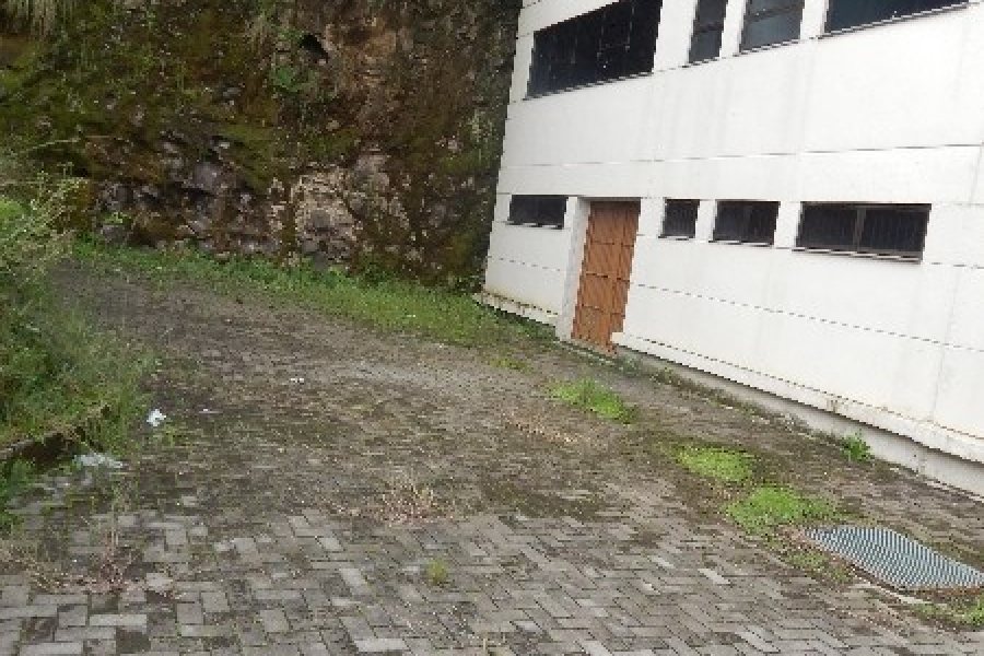 Pavilhão com 300m², no bairro Sanvitto em Caxias do Sul para Comprar