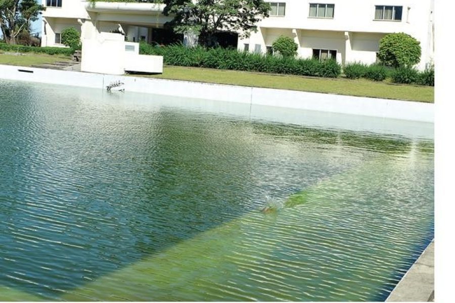 Pavilhão com 10000m², no bairro Nona legua em Caxias do Sul para Comprar