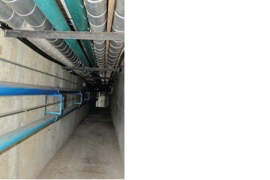 Pavilhão com 10000m², no bairro Nona legua em Caxias do Sul para Comprar