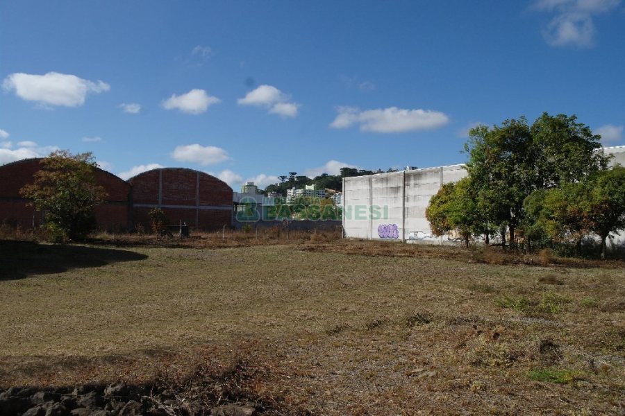 Terreno com 2000m², no bairro São José em Caxias do Sul para Alugar