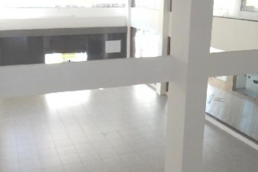 Loja com 484m², 1 vaga, no bairro Pio X em Caxias do Sul para Alugar