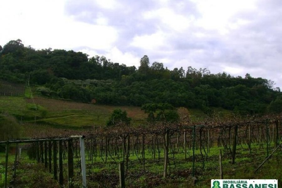 Chácara com 150m², 3 dormitórios, 1 vaga, no bairro Cidade Industrial em Caxias do Sul para Comprar