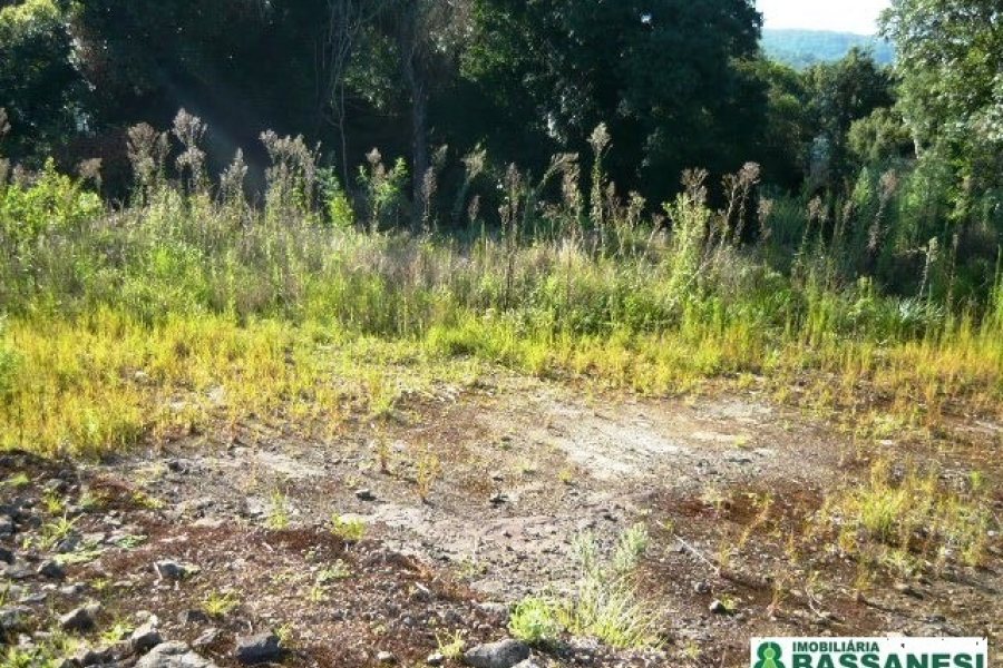 Chácara, no bairro Linha 40 em Caxias do Sul para Comprar