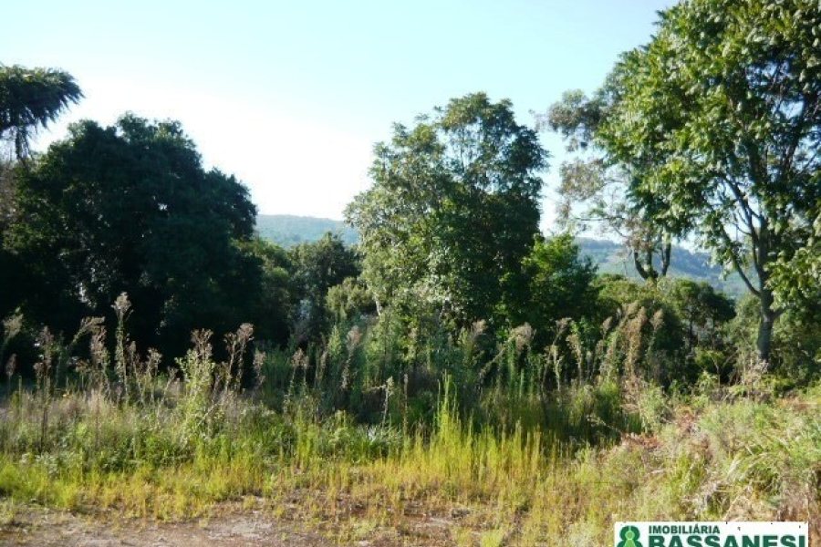 Chácara, no bairro Linha 40 em Caxias do Sul para Comprar