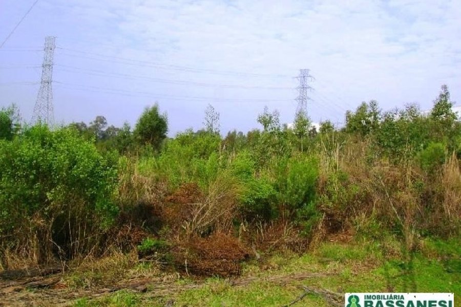 Terreno, no bairro Moinhos de Vento em Caxias do Sul para Comprar
