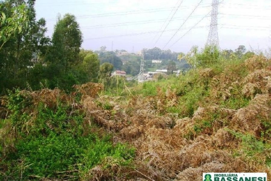 Terreno, no bairro Moinhos de Vento em Caxias do Sul para Comprar