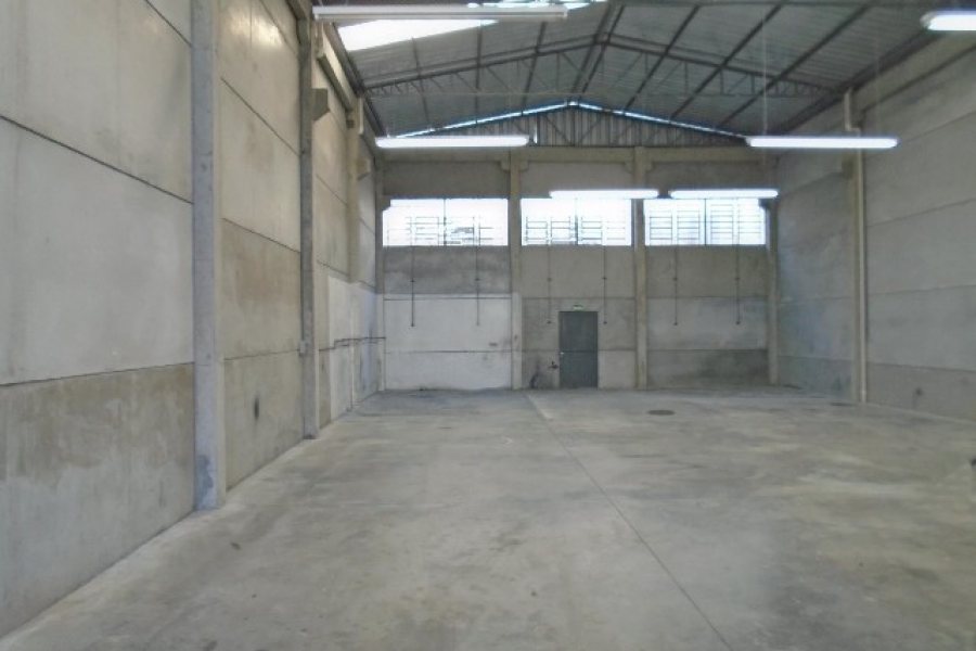 Pavilhão com 314m², no bairro Sanvitto em Caxias do Sul para Alugar