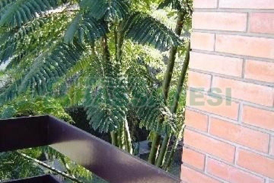 Casa com 600m², 5 dormitórios, 4 vagas, no bairro Saint Etienne em Caxias do Sul para Comprar