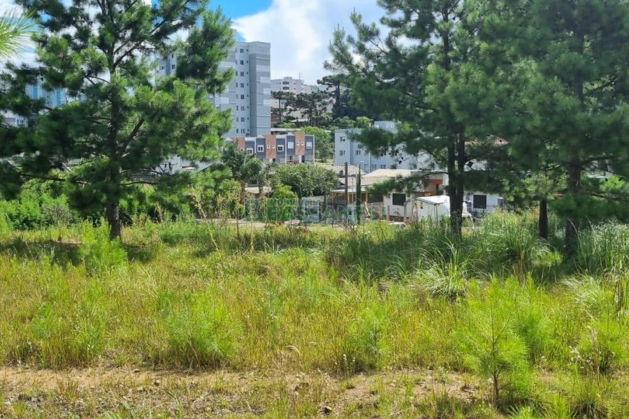 Terreno com 453m², no bairro Vitoria em Caxias do Sul para Comprar