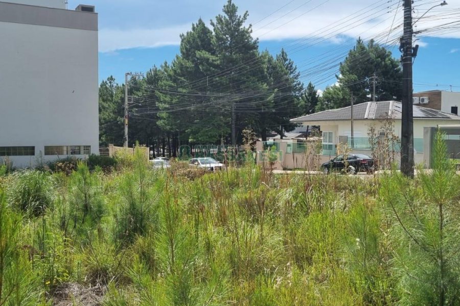 Terreno com 453m², no bairro Vitoria em Caxias do Sul para Comprar