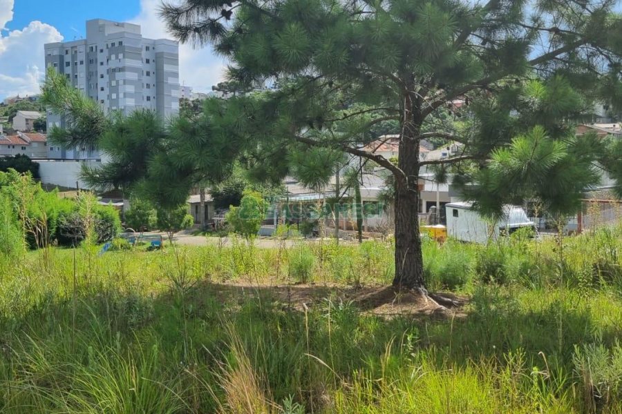 Terreno com 453m², no bairro Vitoria em Caxias do Sul para Comprar