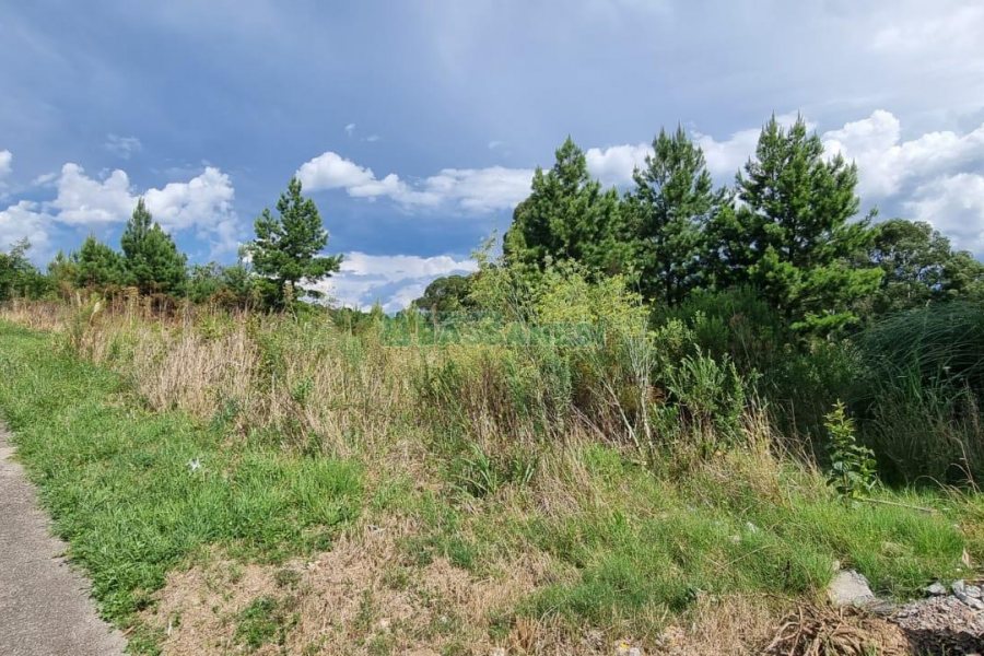 Terreno com 453m², no bairro Vitoria em Caxias do Sul para Comprar