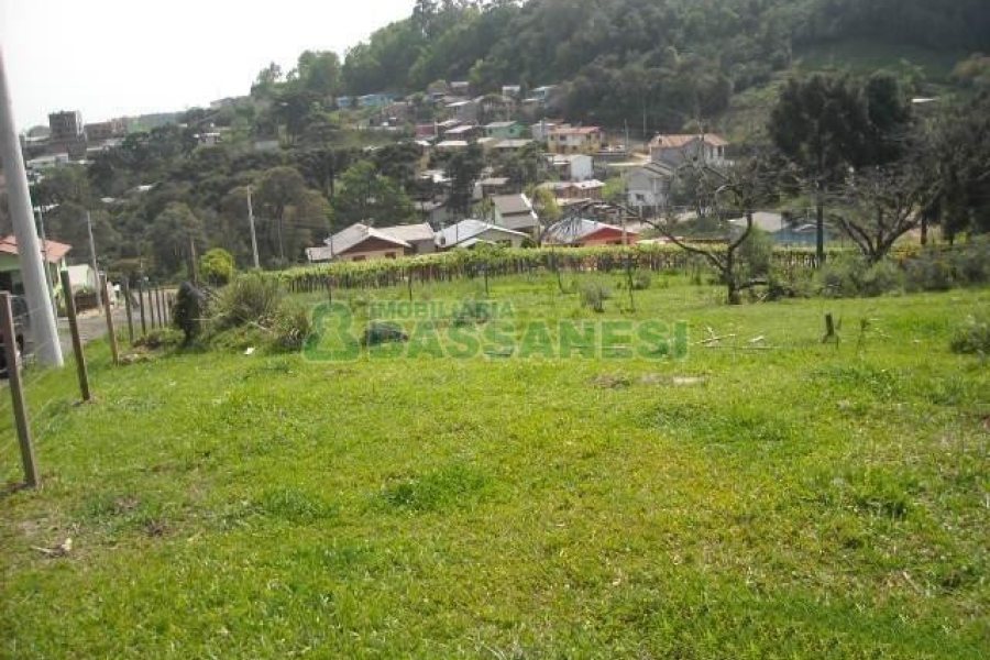 Terreno com 2292m², no bairro Santo Antônio em Caxias do Sul para Alugar