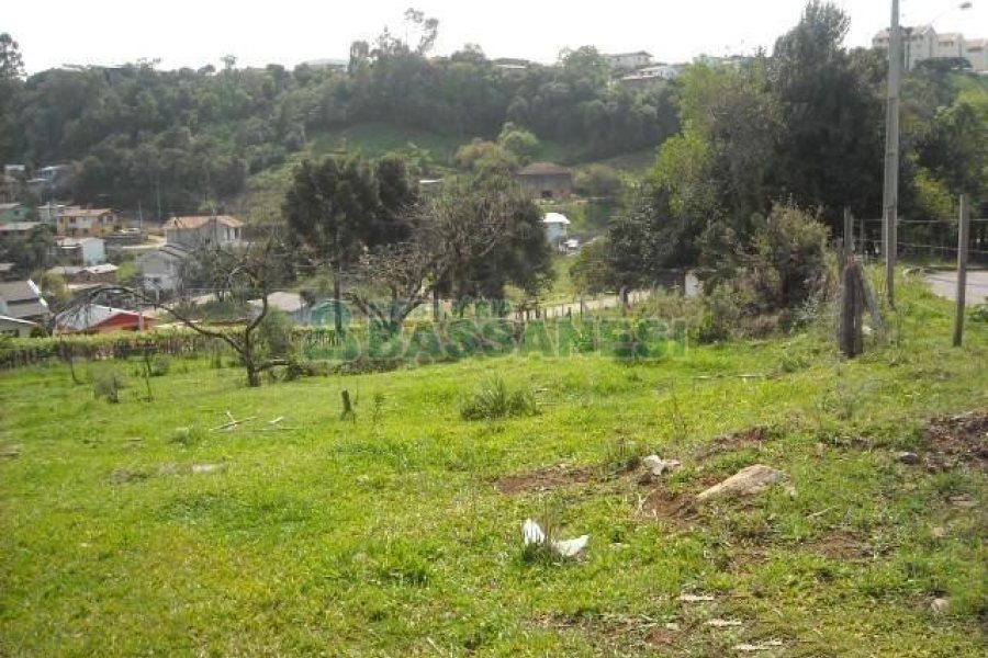 Terreno com 2292m², no bairro Santo Antônio em Caxias do Sul para Alugar