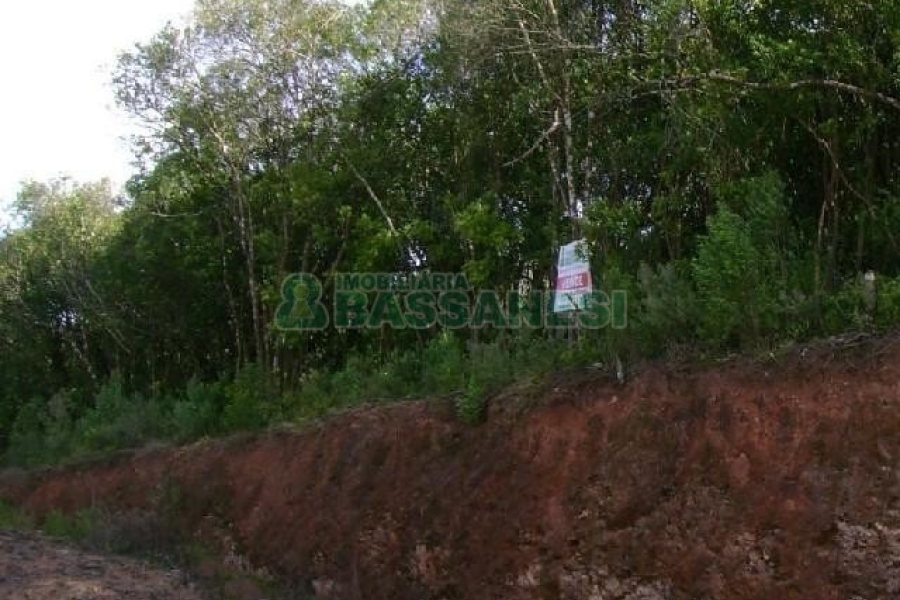 Terreno com 28866m², no bairro Mato Perso em Flores da Cunha para Alugar