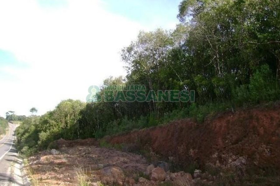 Terreno com 28866m², no bairro Mato Perso em Flores da Cunha para Alugar