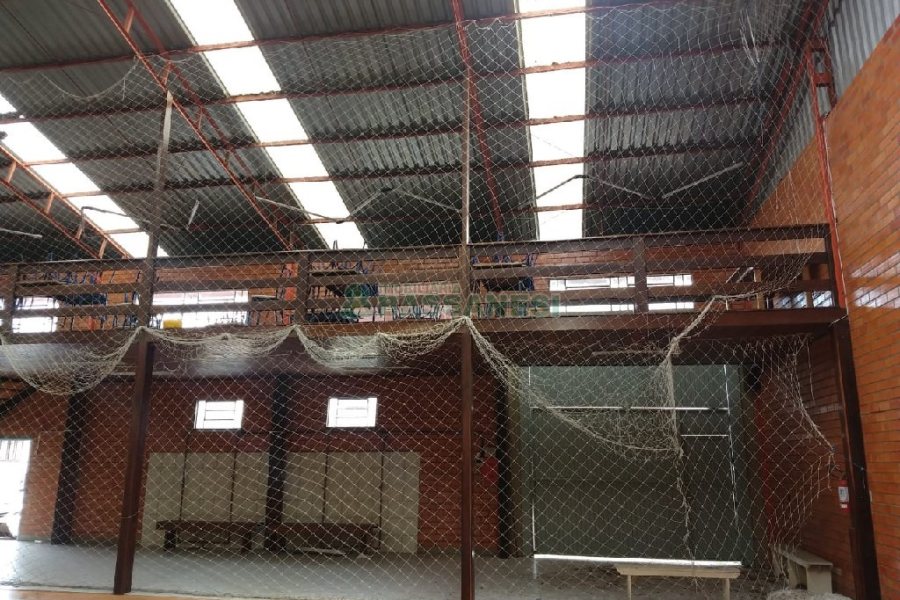 Pavilhão com 706m², no bairro Sanvitto em Caxias do Sul para Alugar ou Comprar