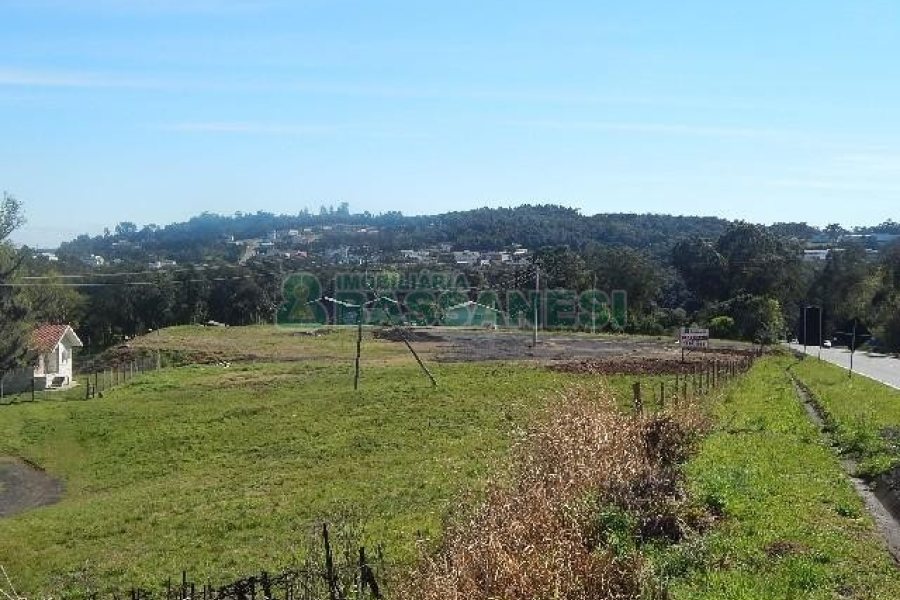 Terreno com 24000m², no bairro Pedancino em Caxias do Sul para Alugar