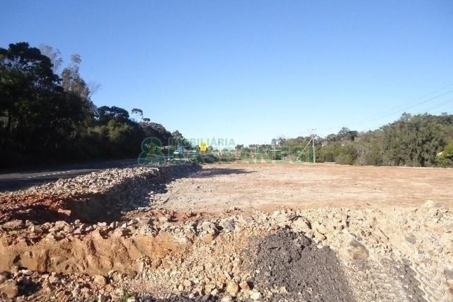 Terreno com 24000m², no bairro Pedancino em Caxias do Sul para Alugar