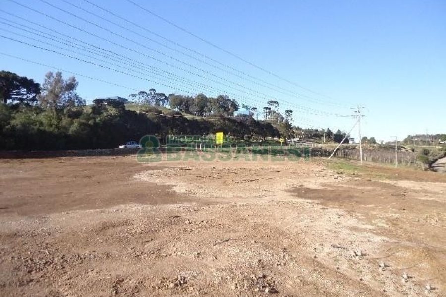 Terreno com 24000m², no bairro Pedancino em Caxias do Sul para Alugar