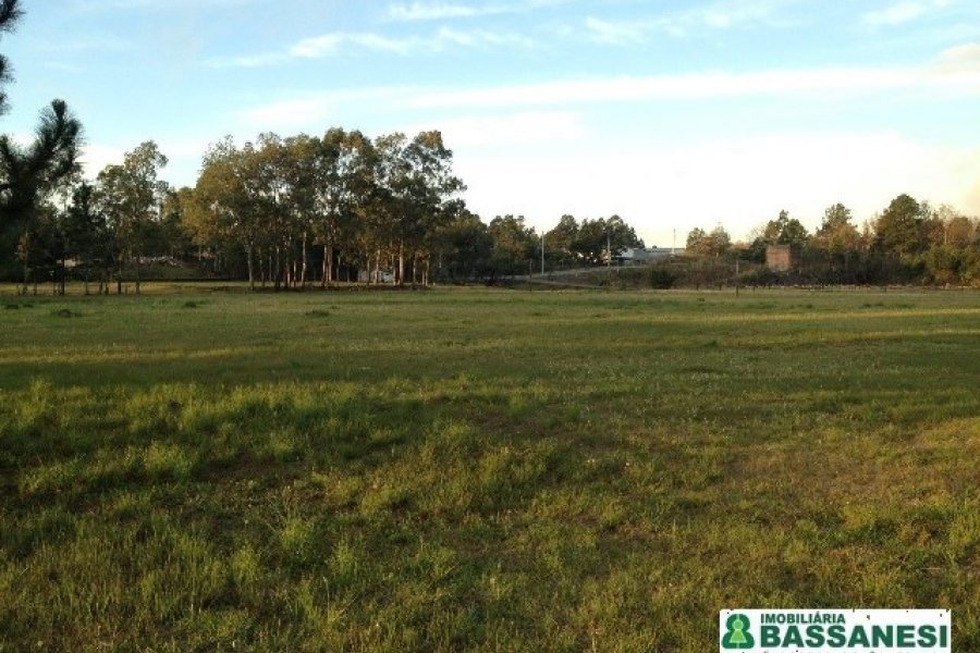 Pavilhão com 5000m², no bairro Distrito Industrial em Caxias do Sul para Alugar