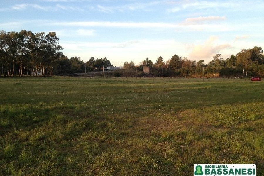 Pavilhão com 5000m², no bairro Distrito Industrial em Caxias do Sul para Alugar