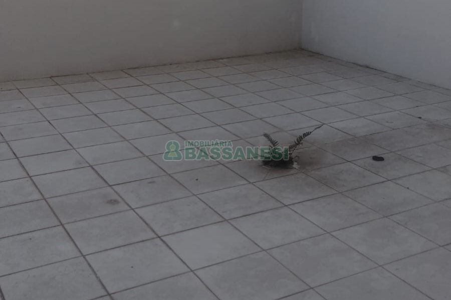 Loja com 312m², no bairro Pio X em Caxias do Sul para Alugar