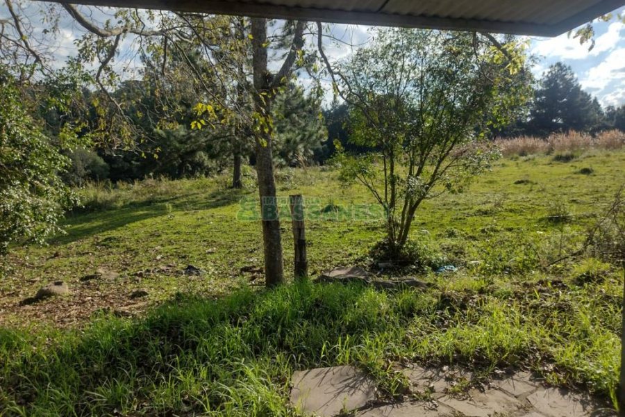 Terreno com 60055m², no bairro Mariland em Caxias do Sul para Comprar