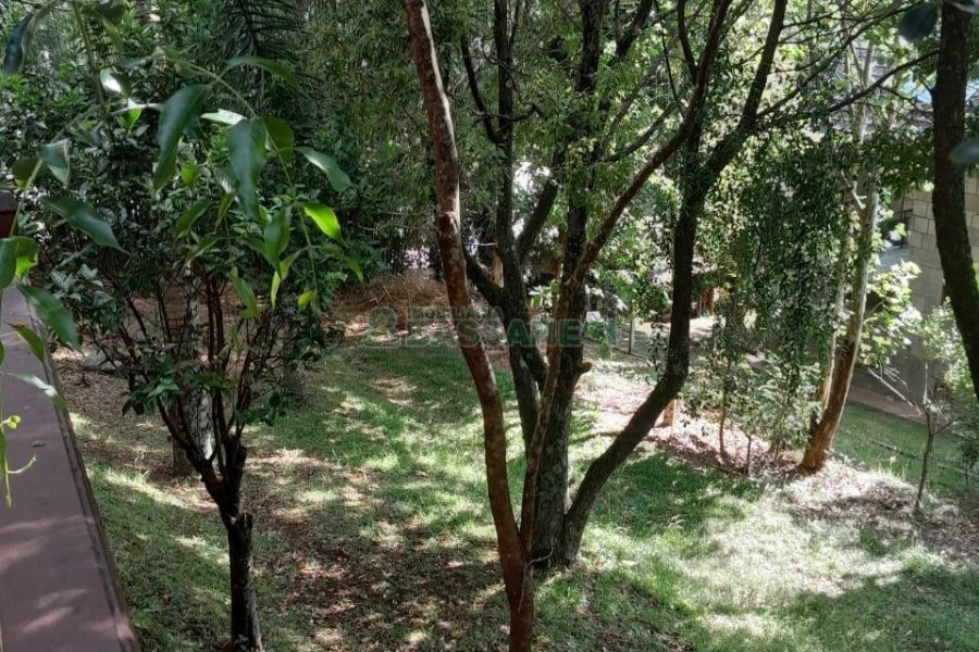 Casa com 400m², 3 dormitórios, 2 vagas, no bairro Santa Catarina em Caxias do Sul para Alugar