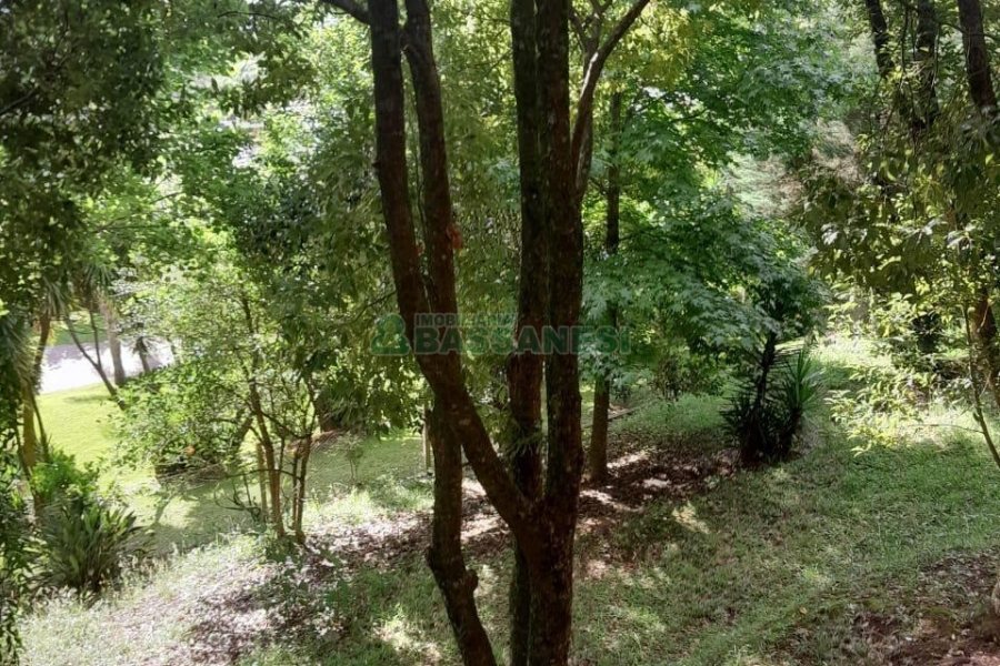 Casa com 400m², 3 dormitórios, 2 vagas, no bairro Santa Catarina em Caxias do Sul para Alugar