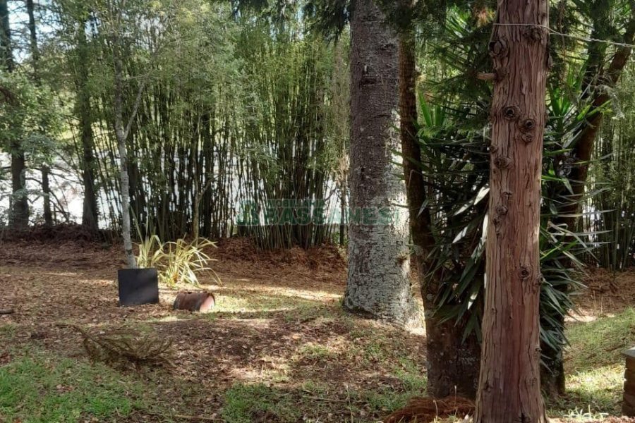 Casa com 400m², 3 dormitórios, 2 vagas, no bairro Santa Catarina em Caxias do Sul para Alugar