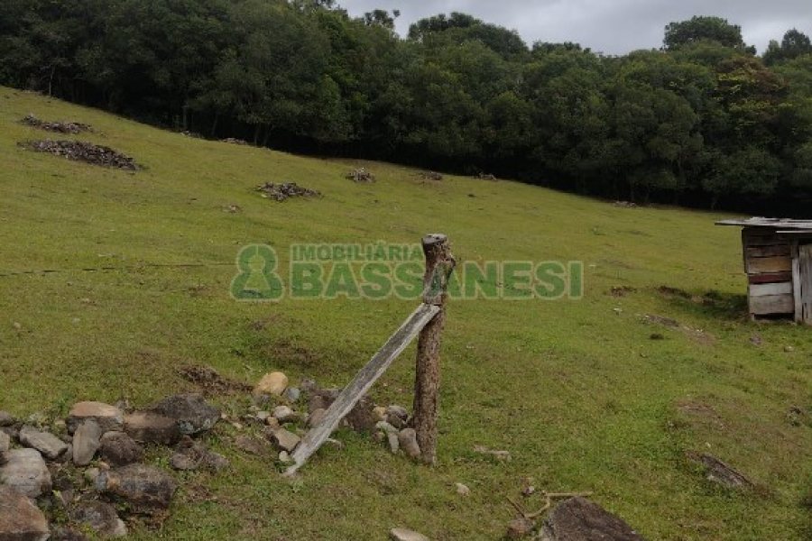 Chácara com 200m², 3 dormitórios, 1 vaga, no bairro Fazenda Souza em Caxias do Sul para Comprar