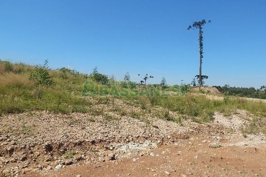 Terreno com 5574m², no bairro Sanvitto em Caxias do Sul para Alugar