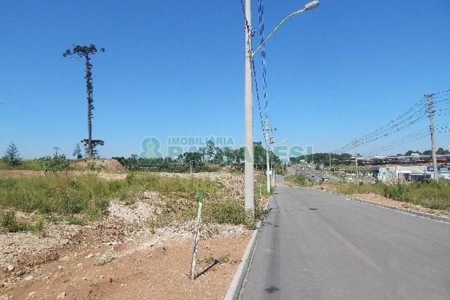 Terreno com 5574m², no bairro Sanvitto em Caxias do Sul para Alugar