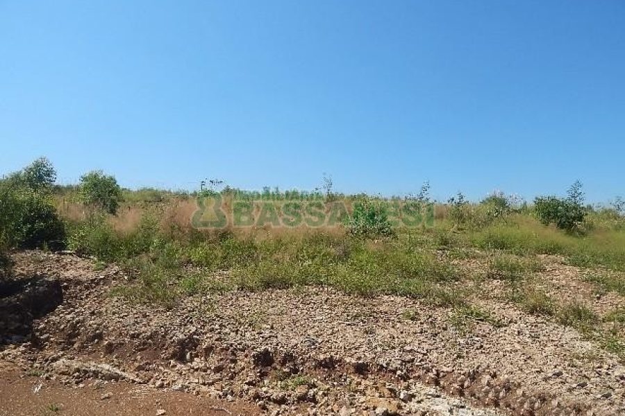 Terreno com 5574m², no bairro Sanvitto em Caxias do Sul para Alugar