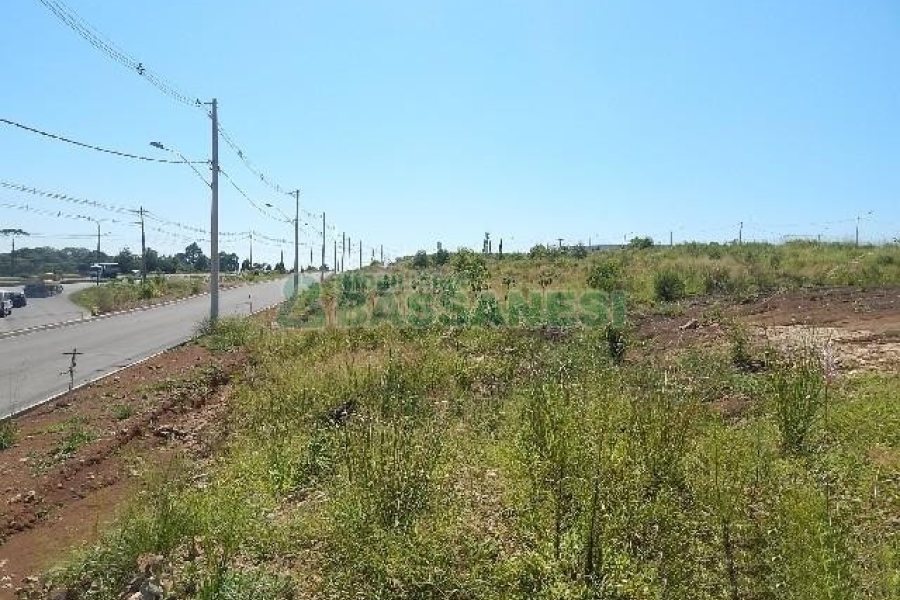 Terreno com 5574m², no bairro Sanvitto em Caxias do Sul para Alugar