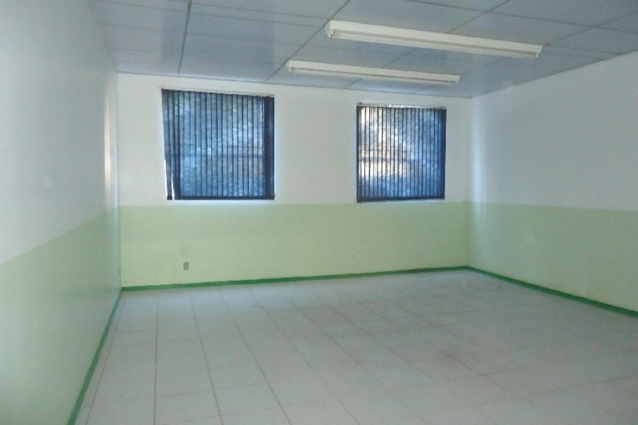 Loja com 5600m², no bairro São Pelegrino em Caxias do Sul para Alugar