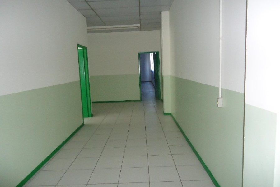 Loja com 5600m², no bairro São Pelegrino em Caxias do Sul para Alugar