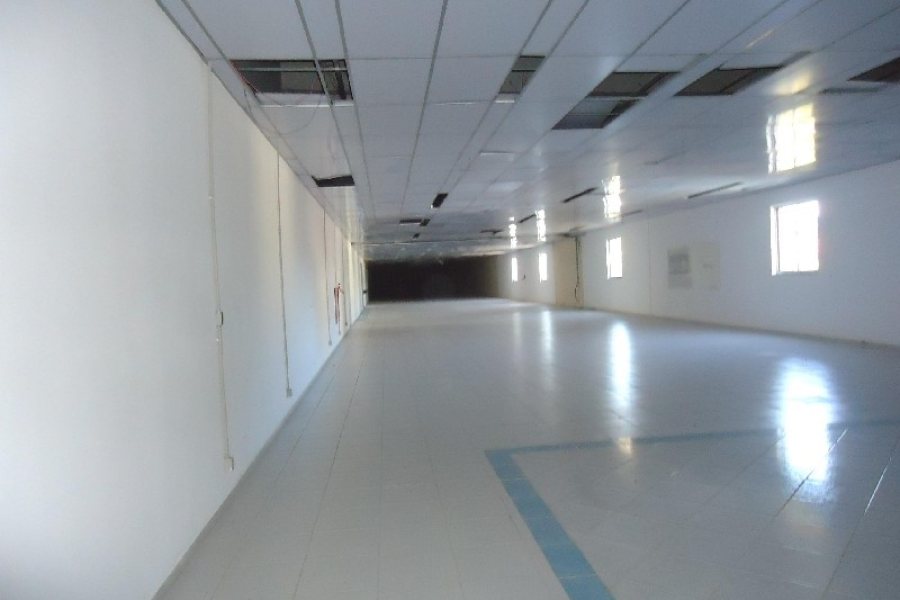 Loja com 5600m², no bairro São Pelegrino em Caxias do Sul para Alugar