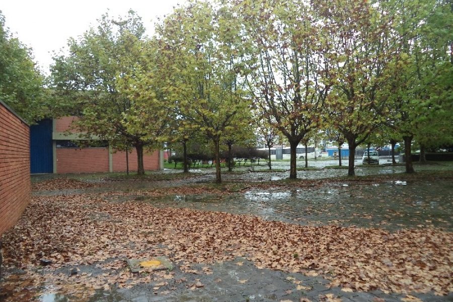 Pavilhão com 3970m², no bairro São Ciro em Caxias do Sul para Comprar