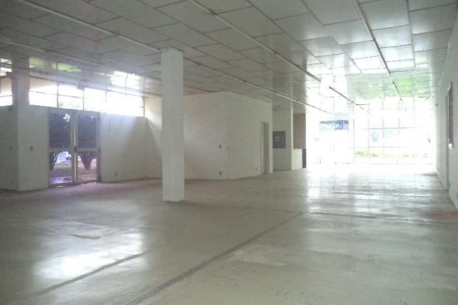 Pavilhão com 3970m², no bairro São Ciro em Caxias do Sul para Comprar