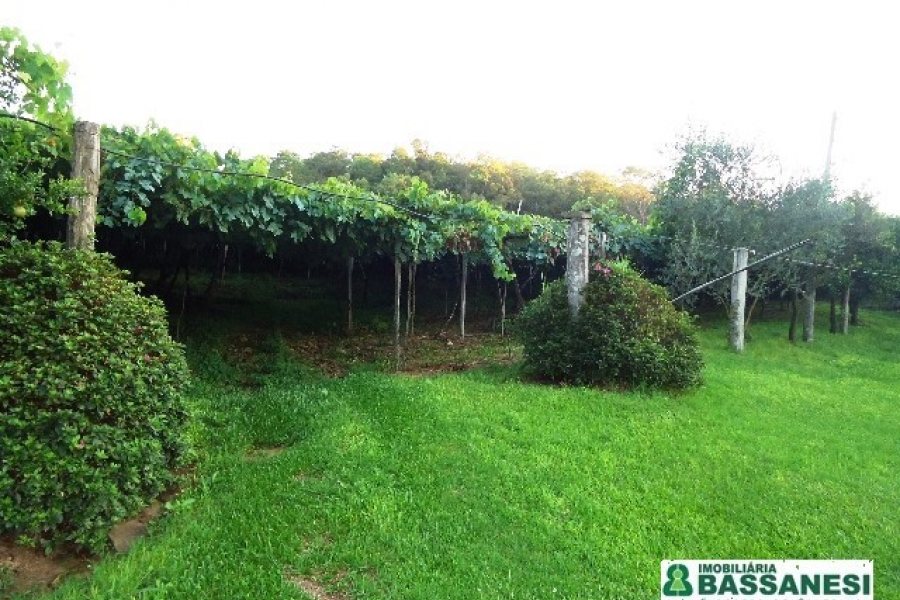 Chácara, no bairro Forqueta em Caxias do Sul para Comprar