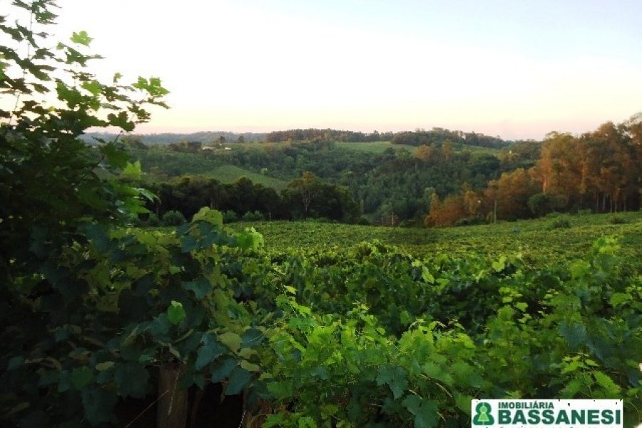 Chácara, no bairro Forqueta em Caxias do Sul para Comprar