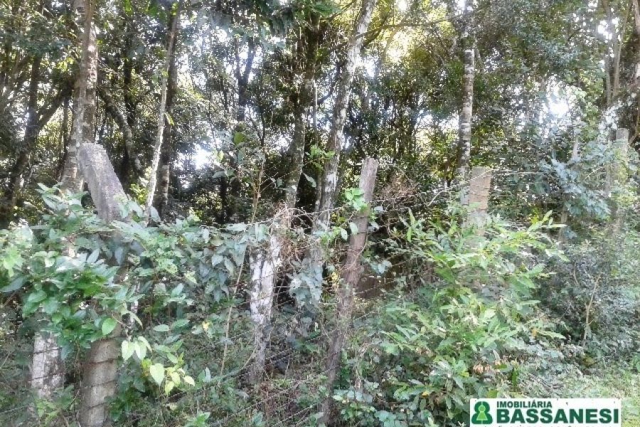 Terreno, no bairro Bom Pastor em Caxias do Sul para Comprar