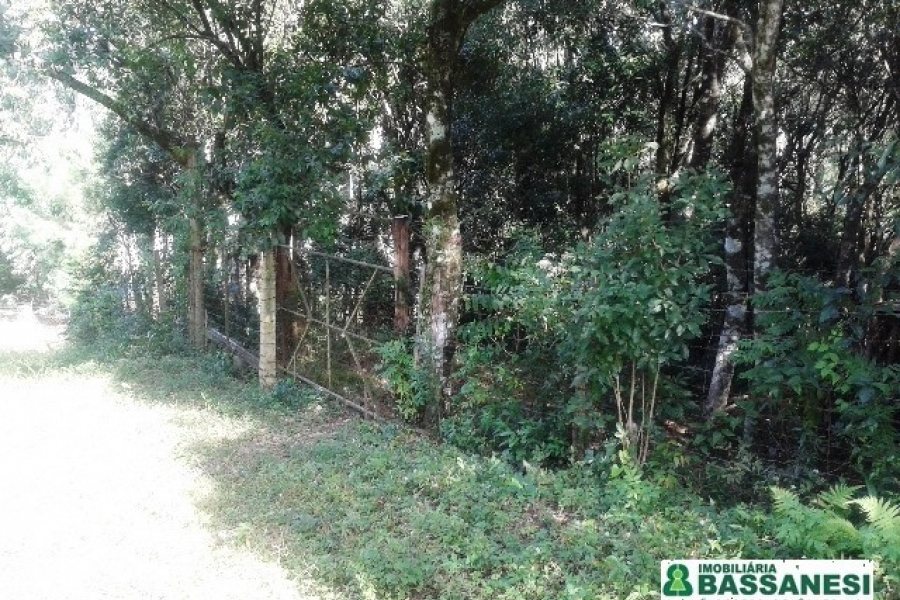 Terreno, no bairro Bom Pastor em Caxias do Sul para Comprar