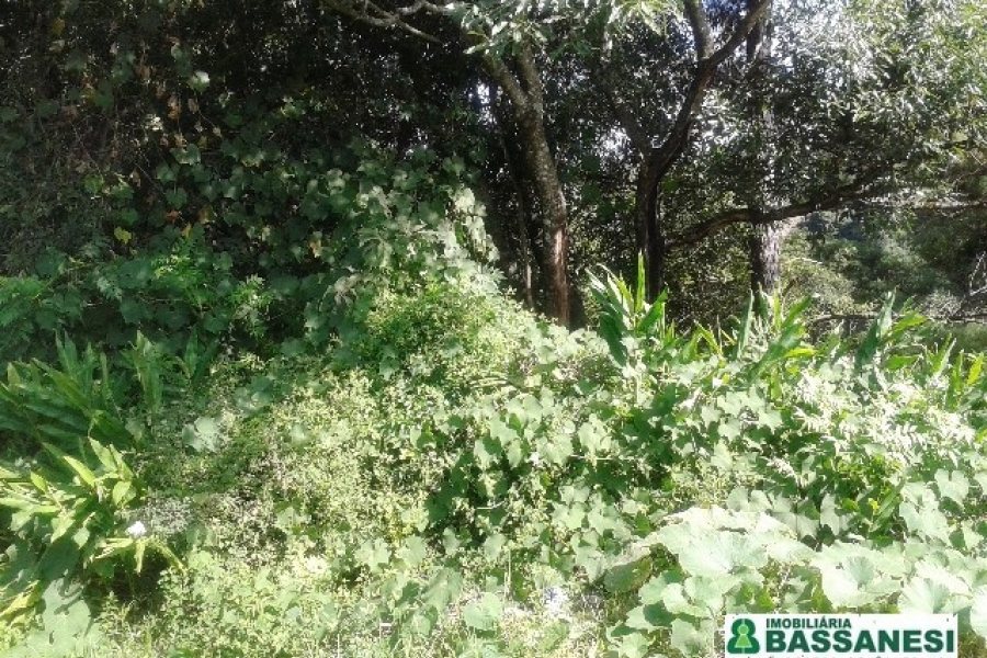 Terreno, no bairro Bom Pastor em Caxias do Sul para Comprar