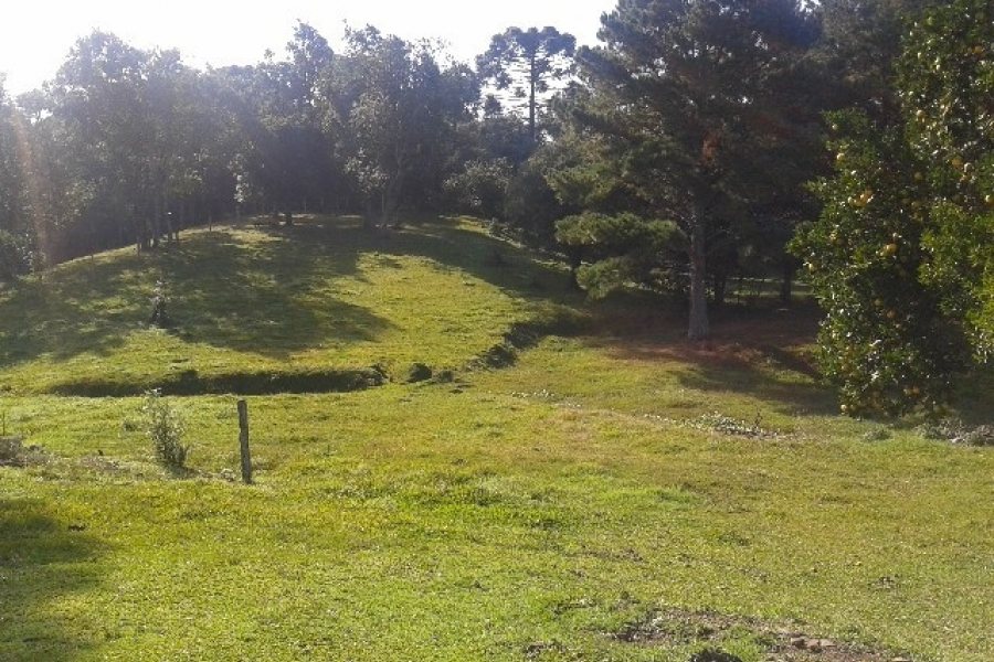 Casa com 80m², 3 dormitórios, 1 vaga, no bairro Jardim Iracema em Caxias do Sul para Comprar