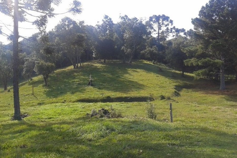 Casa com 80m², 3 dormitórios, 1 vaga, no bairro Jardim Iracema em Caxias do Sul para Comprar